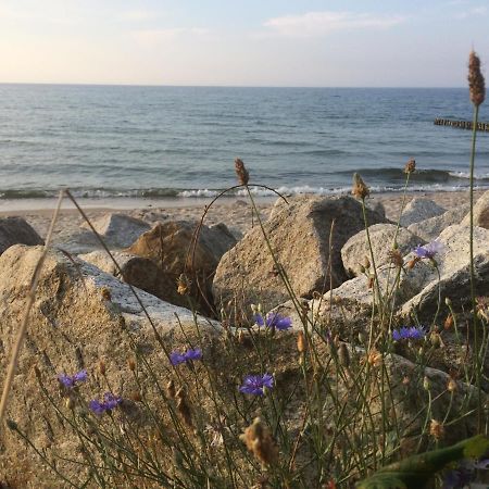 דירות קולובז'ג Seaside Park Private Aurora 502 מראה חיצוני תמונה