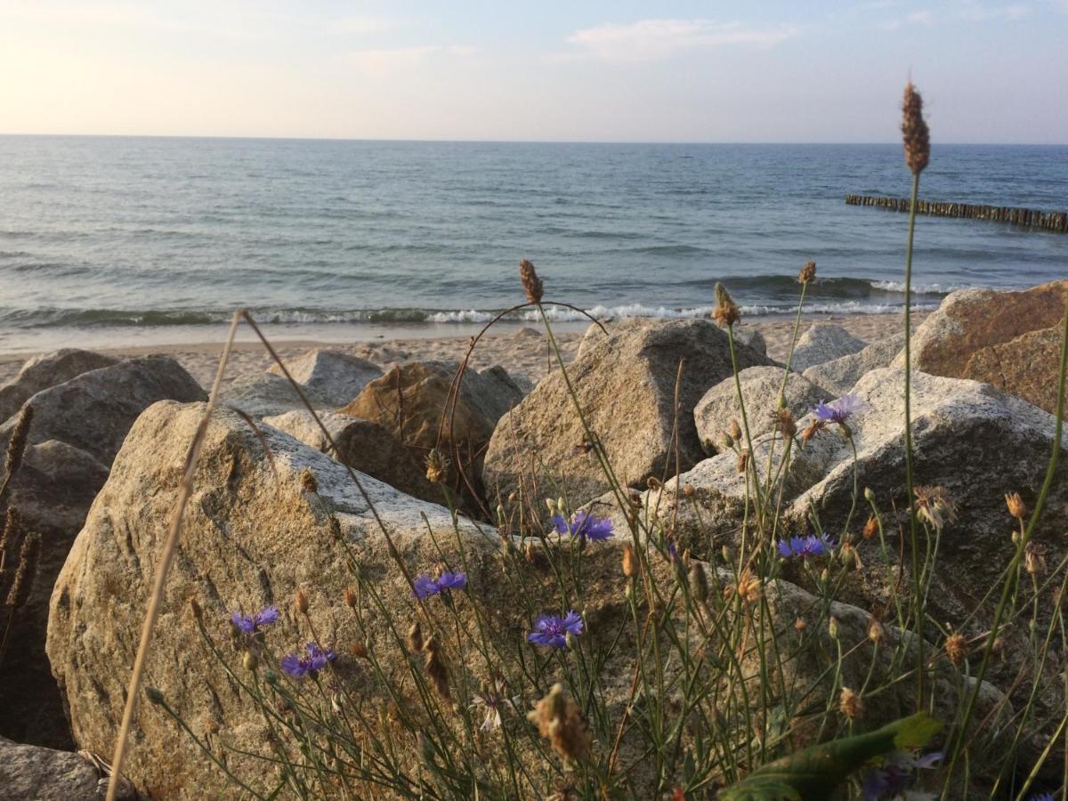 דירות קולובז'ג Seaside Park Private Aurora 502 מראה חיצוני תמונה